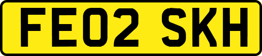 FE02SKH