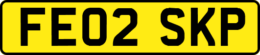 FE02SKP