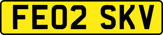 FE02SKV