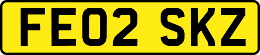 FE02SKZ