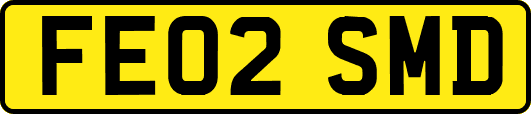 FE02SMD