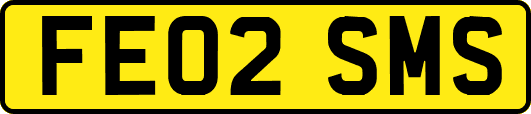 FE02SMS