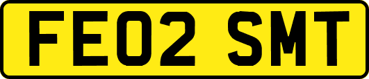 FE02SMT