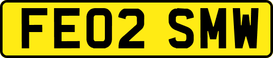 FE02SMW