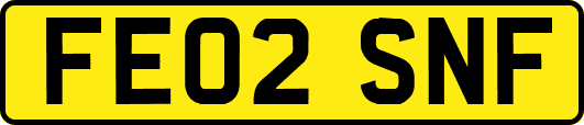 FE02SNF