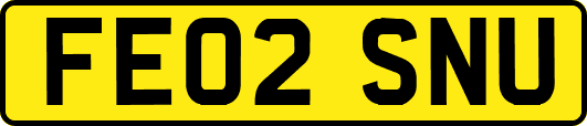 FE02SNU