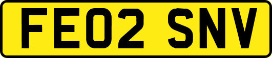FE02SNV