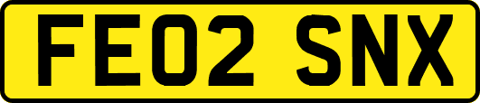 FE02SNX