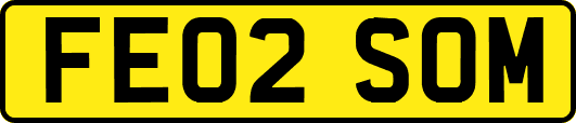 FE02SOM