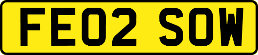 FE02SOW