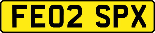 FE02SPX