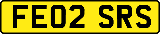 FE02SRS
