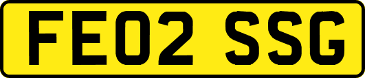 FE02SSG