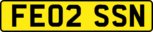 FE02SSN
