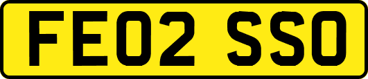 FE02SSO