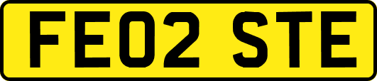 FE02STE