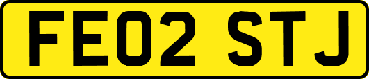 FE02STJ