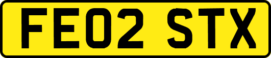 FE02STX