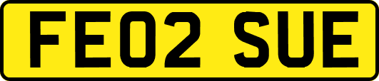 FE02SUE
