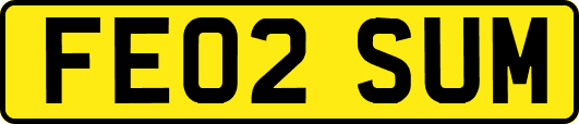 FE02SUM