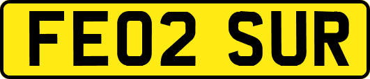 FE02SUR