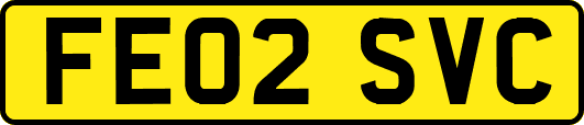 FE02SVC