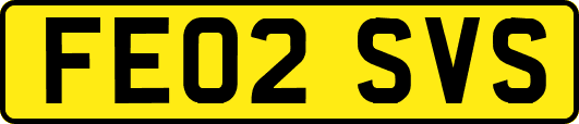 FE02SVS