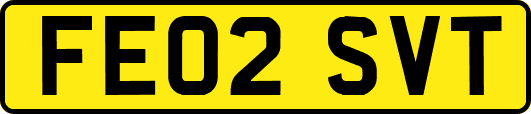 FE02SVT