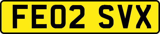 FE02SVX