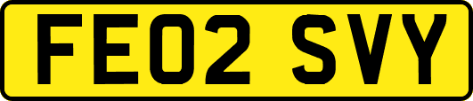 FE02SVY