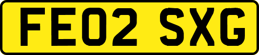 FE02SXG