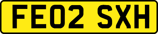 FE02SXH