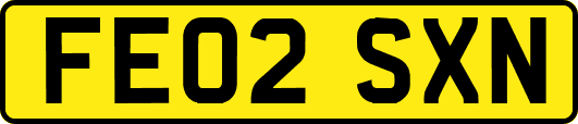 FE02SXN