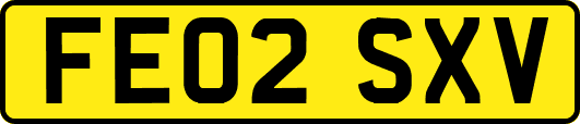 FE02SXV