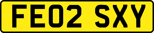 FE02SXY