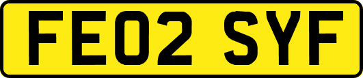 FE02SYF
