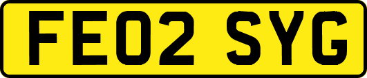 FE02SYG
