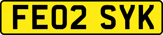 FE02SYK
