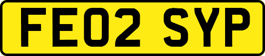 FE02SYP