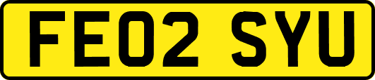 FE02SYU