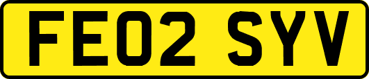 FE02SYV