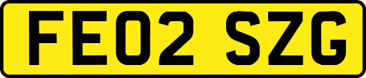 FE02SZG