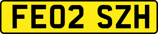 FE02SZH