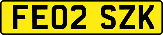 FE02SZK