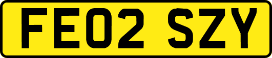 FE02SZY