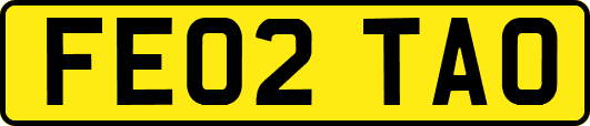 FE02TAO