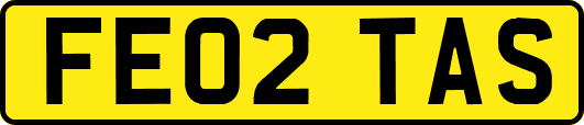 FE02TAS