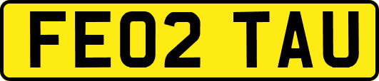 FE02TAU