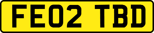FE02TBD
