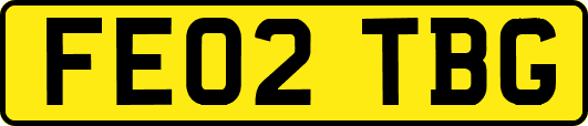 FE02TBG
